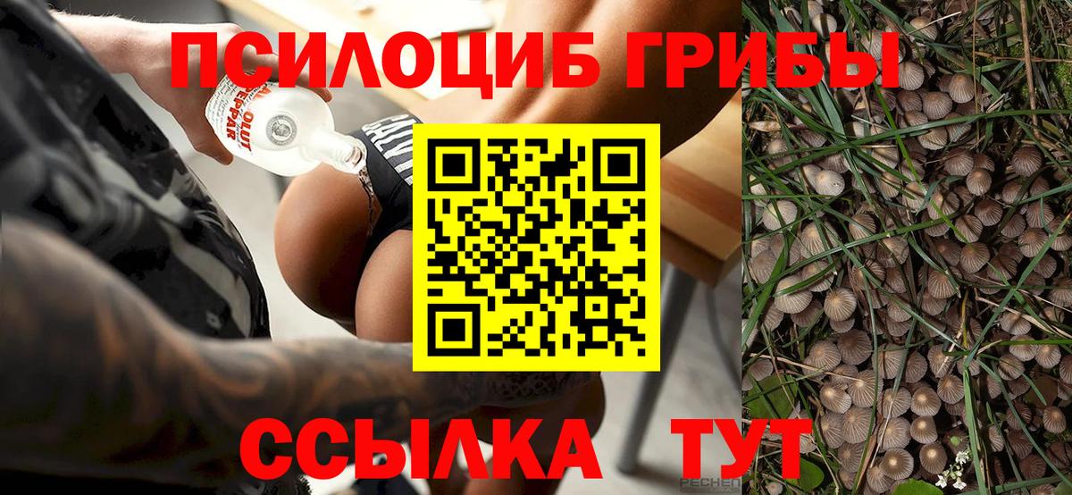 Киров  Галлюциногенные грибы прущие грибы  где продают наркотики  Вход с VPN 